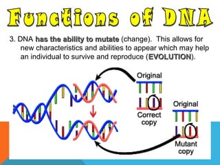 3. DNA has the ability to mutatehas the ability to mutate (change). This allows for
new characteristics and abilities to appear which may help
an individual to survive and reproduce (EVOLUTIONEVOLUTION).
 