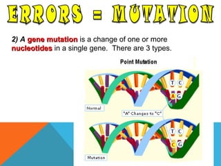 2) A gene mutationgene mutation is a change of one or more
nucleotidesnucleotides in a single gene. There are 3 types.
 