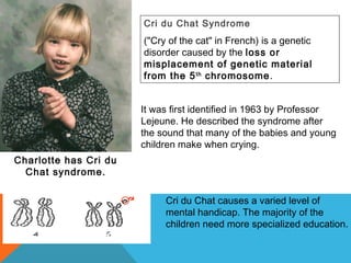 Charlotte has Cri du
Chat syndrome.
Cri du Chat Syndrome
("Cry of the cat" in French) is a genetic
disorder caused by the loss or
misplacement of genetic material
from the 5th
chromosome.
Cri du Chat causes a varied level of
mental handicap. The majority of the
children need more specialized education.
It was first identified in 1963 by Professor
Lejeune. He described the syndrome after
the sound that many of the babies and young
children make when crying.
 