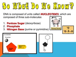 DNA is composed of units called NUCLEOTIDESNUCLEOTIDES, which are
composed of three sub-molecules:
1. Pentose SugarPentose Sugar (deoxyribose)
2. PhosphatePhosphate
3. Nitrogen BaseNitrogen Base (purine or pyrimidine)
 