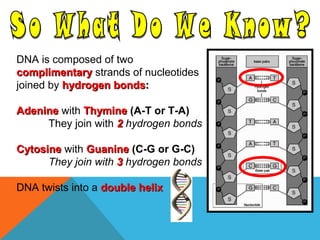 DNA is composed of two
complimentarycomplimentary strands of nucleotides
joined by hydrogen bondshydrogen bonds::
AdenineAdenine with ThymineThymine (A-T or T-A)
They join with 22 hydrogen bonds
CytosineCytosine with GuanineGuanine (C-G or G-C)
They join with 33 hydrogen bonds
DNA twists into a double helixdouble helix
 