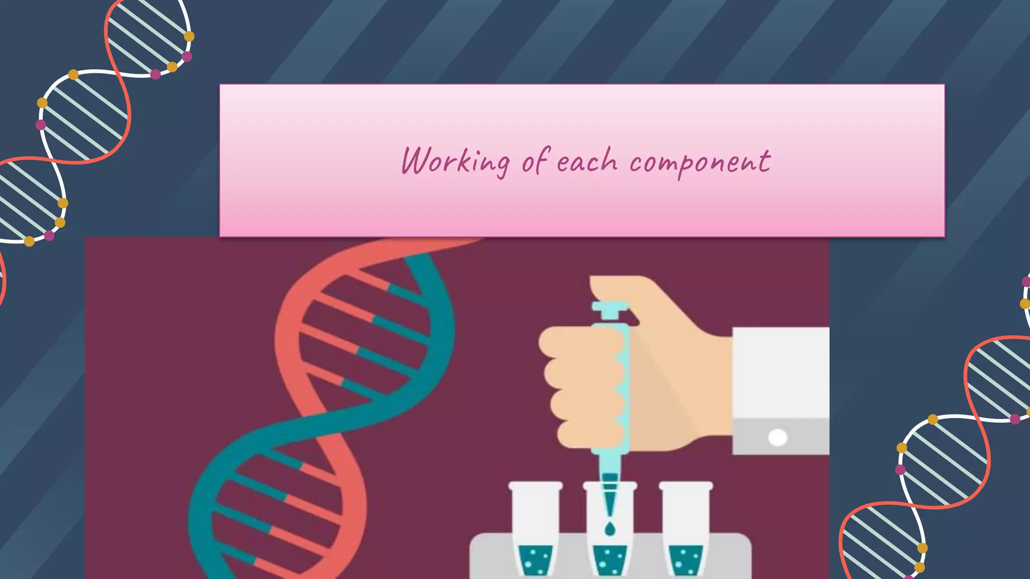 DNA AMPLIFICATION-theory.pptx.pdf