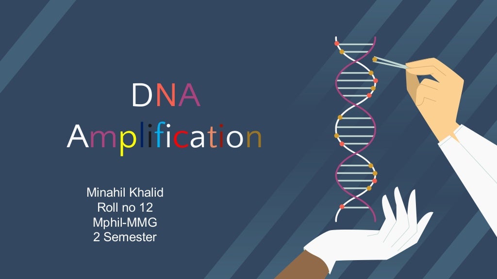 DNA AMPLIFICATIONtheory.pptx.pdf