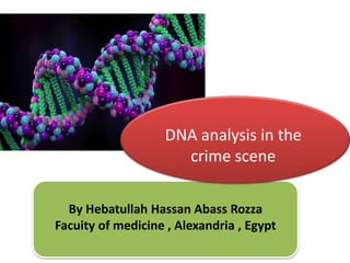 By Hebatullah Hassan Abass Rozza
Facuity of medicine , Alexandria , Egypt
DNA analysis in the
crime scene
 