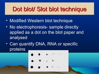 Dot blot/ Slot blot techniqueDot blot/ Slot blot technique
• Modified Western blot technique
• No electrophoresis- sample directly
applied as a dot on the blot paper and
analysed
• Can quantify DNA, RNA or specific
proteins
 