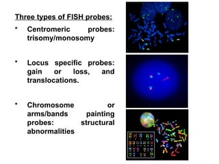 DNA analysis in the diagnosis of hematological disorders (2).pptx