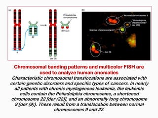 Chromosomal banding patterns and multicolor FISH are
                used to analyze human anomalies
 Characteristic chromosomal translocations are associated with
certain genetic disorders and specific types of cancers. In nearly
  all patients with chronic myelogenous leukemia, the leukemic
     cells contain the Philadelphia chromosome, a shortened
chromosome 22 [der (22)], and an abnormally long chromosome
  9 [der (9)]. These result from a translocation between normal
                      chromosomes 9 and 22.
 