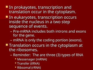  In prokayotes, transcription and
In prokayotes, transcription and
translation occur in the cytoplasm.
translation occur in the cytoplasm.
 In eukaryotes, transcription occurs
In eukaryotes, transcription occurs
inside the nucleus in a two step
inside the nucleus in a two step
sequence of events.
sequence of events.
– Pre-mRNA includes both introns and exons
Pre-mRNA includes both introns and exons
for the gene.
for the gene.
– mRNA is only the coding portion (exons).
mRNA is only the coding portion (exons).
 Translation occurs in the cytoplasm at
Translation occurs in the cytoplasm at
the ribosomes.
the ribosomes.
– Reminder: The are three (3) types of RNA
Reminder: The are three (3) types of RNA
 Messenager (mRNA)
Messenager (mRNA)
 Transfer (tRNA)
Transfer (tRNA)
 Ribsomal (rRNA)
Ribsomal (rRNA)
 