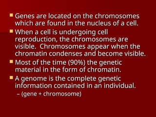  Genes are located on the chromosomes
Genes are located on the chromosomes
which are found in the nucleus of a cell.
which are found in the nucleus of a cell.
 When a cell is undergoing cell
When a cell is undergoing cell
reproduction, the chromosomes are
reproduction, the chromosomes are
visible. Chromosomes appear when the
visible. Chromosomes appear when the
chromatin condenses and become visible.
chromatin condenses and become visible.
 Most of the time (90%) the genetic
Most of the time (90%) the genetic
material in the form of chromatin.
material in the form of chromatin.
 A genome is the complete genetic
A genome is the complete genetic
information contained in an individual.
information contained in an individual.
– (gene + chromosome)
(gene + chromosome)
 