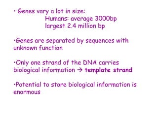 • Genes vary a lot in size:
Humans: average 3000bp
largest 2.4 million bp
•Genes are separated by sequences with
unknown function
•Only one strand of the DNA carries
biological information  template strand
•Potential to store biological information is
enormous
 
