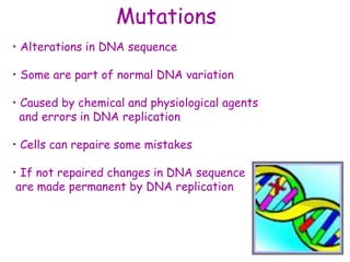 Mutations
• Alterations in DNA sequence
• Some are part of normal DNA variation
• Caused by chemical and physiological agents
and errors in DNA replication
• Cells can repaire some mistakes
• If not repaired changes in DNA sequence
are made permanent by DNA replication
 