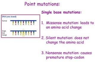 Point mutations:
Single base mutations:
1. Missense mutation: leads to
an amino acid change
2. Silent mutation: does not
change the amino acid
3. Nonsense mutation: causes
premature stop-codon
 