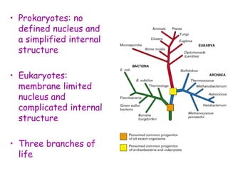 • Prokaryotes: no
defined nucleus and
a simplified internal
structure
• Eukaryotes:
membrane limited
nucleus and
complicated internal
structure
• Three branches of
life
 