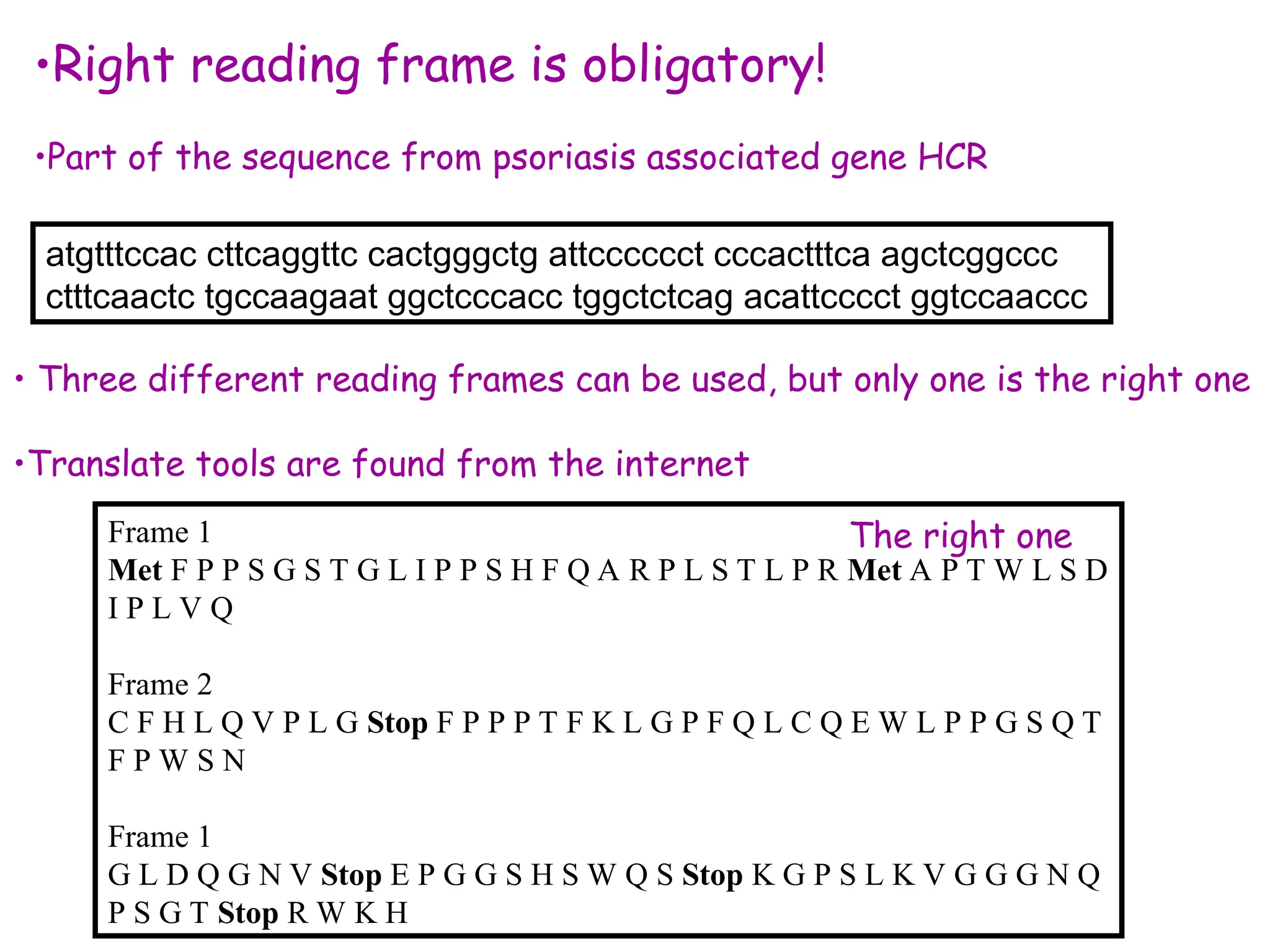 Frame 1
Met F P P S G S T G L I P P S H F Q A R P L S T L P R Met A P T W L S D
I P L V Q
Frame 2
C F H L Q V P L G Stop F P P P T F K L G P F Q L C Q E W L P P G S Q T
F P W S N
Frame 1
G L D Q G N V Stop E P G G S H S W Q S Stop K G P S L K V G G G N Q
P S G T Stop R W K H
•Right reading frame is obligatory!
•Part of the sequence from psoriasis associated gene HCR
• Three different reading frames can be used, but only one is the right one
•Translate tools are found from the internet
atgtttccac cttcaggttc cactgggctg attcccccct cccactttca agctcggccc
ctttcaactc tgccaagaat ggctcccacc tggctctcag acattcccct ggtccaaccc
The right one
 