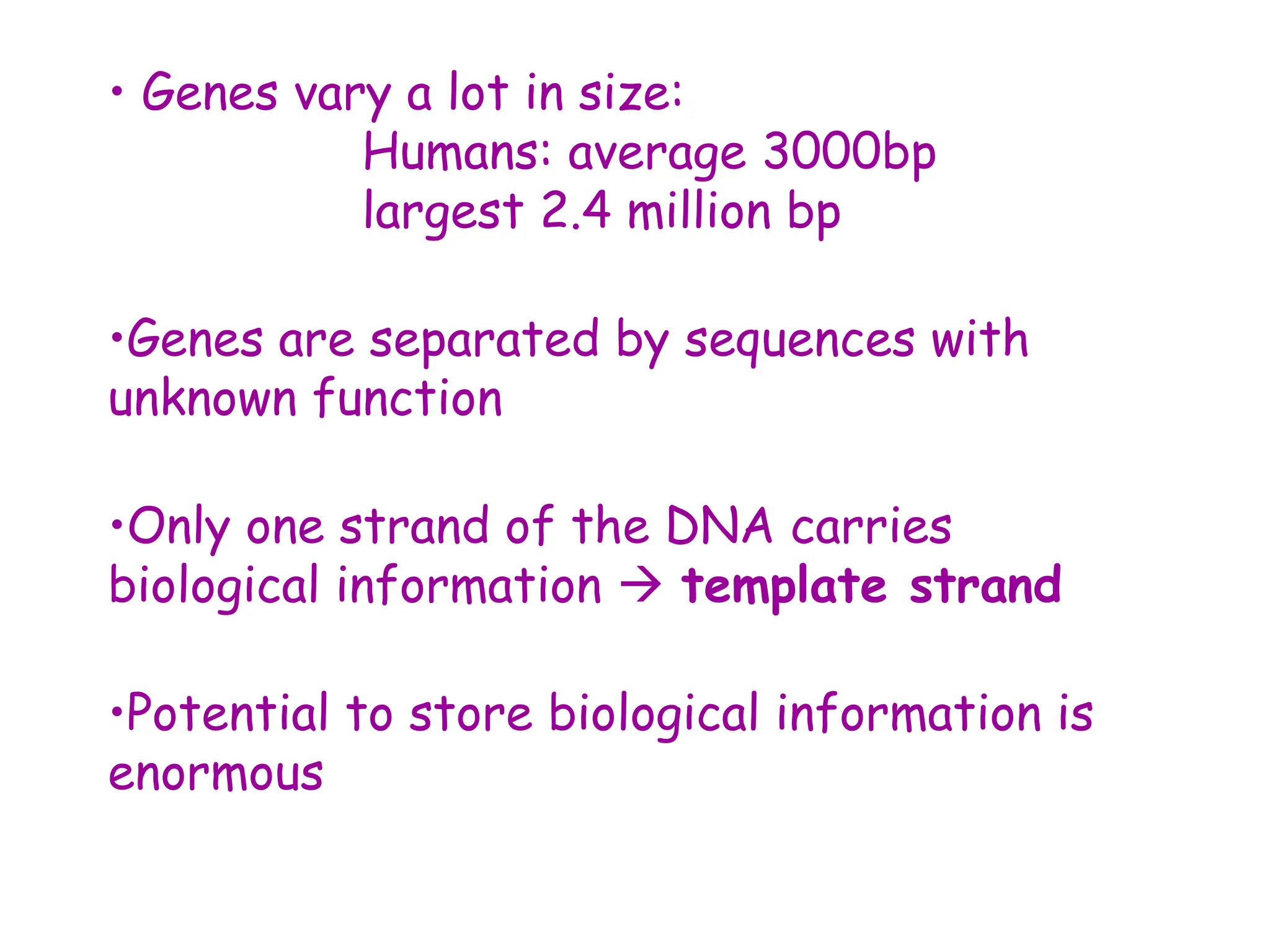 • Genes vary a lot in size:
Humans: average 3000bp
largest 2.4 million bp
•Genes are separated by sequences with
unknown function
•Only one strand of the DNA carries
biological information  template strand
•Potential to store biological information is
enormous
 