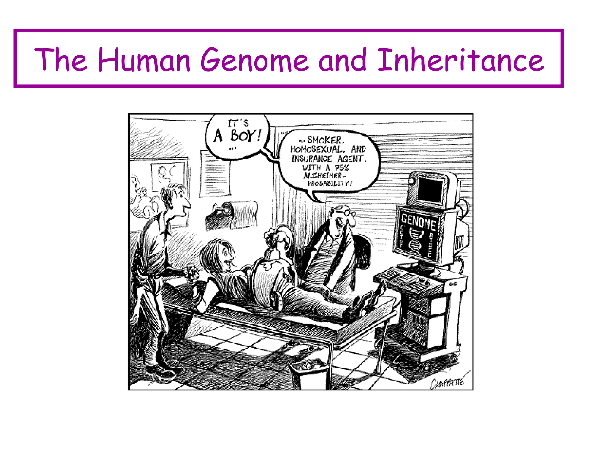 The Human Genome and Inheritance
 