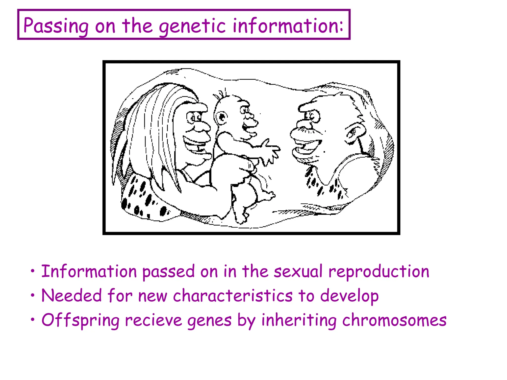 Passing on the genetic information:
• Information passed on in the sexual reproduction
• Needed for new characteristics to develop
• Offspring recieve genes by inheriting chromosomes
 