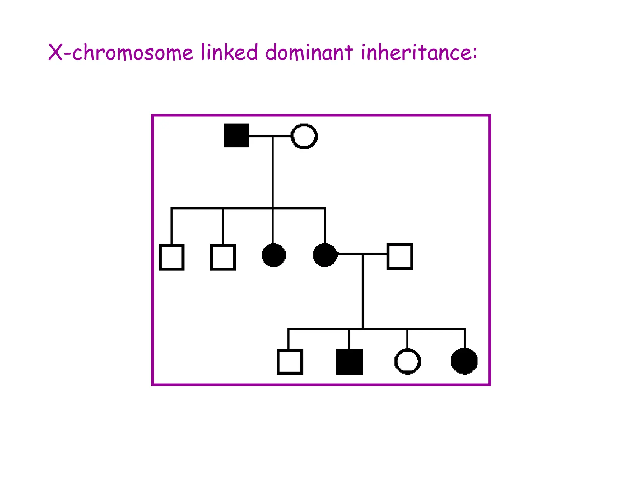 X-chromosome linked dominant inheritance:
 