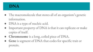 DNA
● The macromolecule that stores all of an organism’s genetic
information.
● DNA is a type of nucleic acid.
● Important property of DNA is that it can replicate or make
copies of itself.
● Chromosome is a long, coiled piece of DNA.
● Gene is segment of DNA that codes for speci c trait or
protein.
 