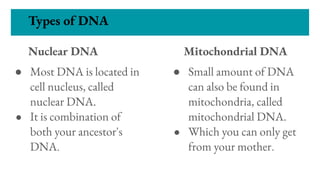 Types of DNA
Nuclear DNA
● Most DNA is located in
cell nucleus, called
nuclear DNA.
● It is combination of
both your ancestor's
DNA.
Mitochondrial DNA
● Small amount of DNA
can also be found in
mitochondria, called
mitochondrial DNA.
● Which you can only get
from your mother.
 