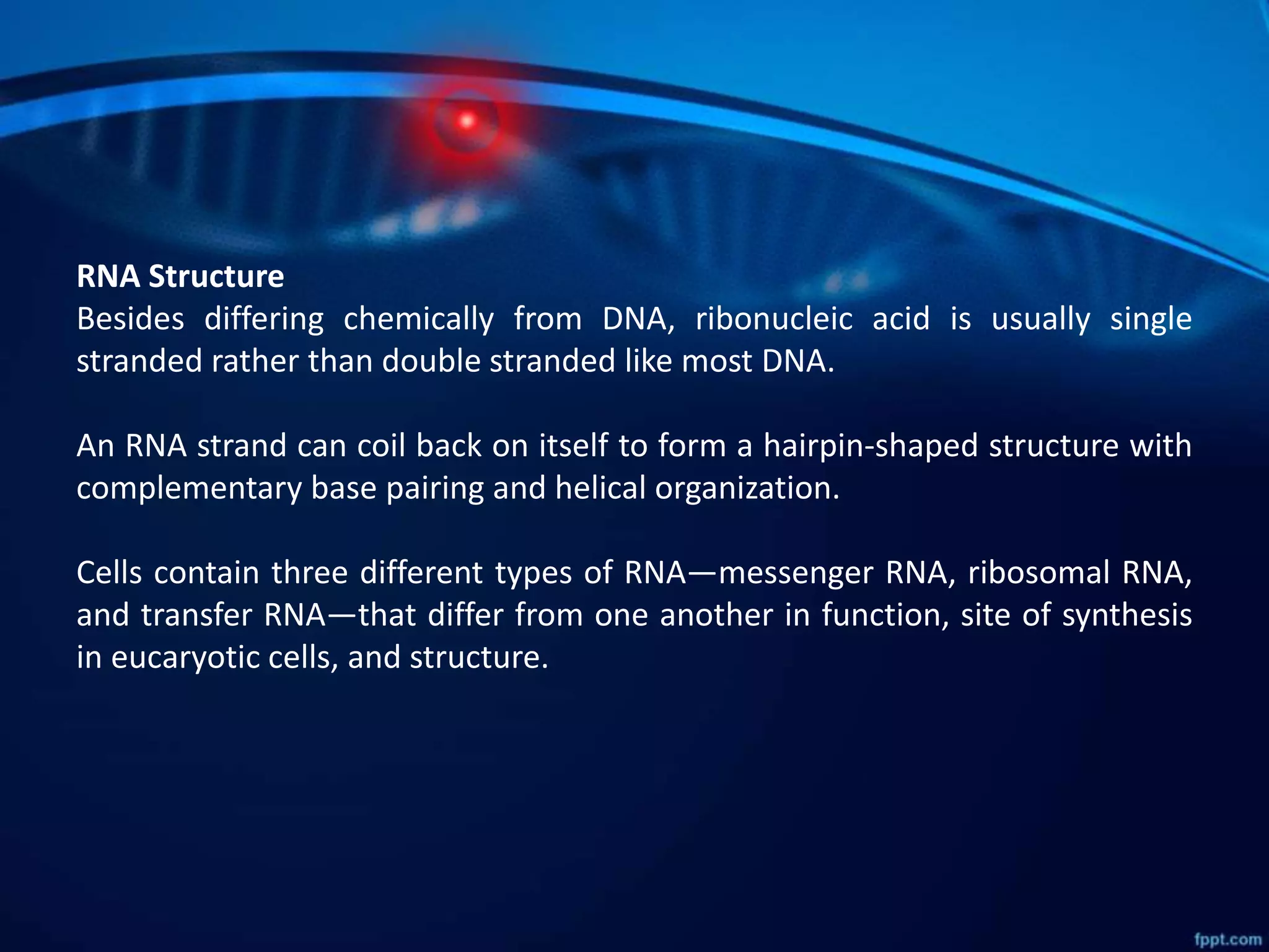 DNA and its structure and RNA | PPTX