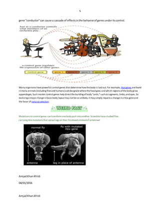 5
AmjadKhanAfridi
gene "conductor"can cause a cascade of effectsinthe behaviorof genesunderitscontrol.
Many organismshavepowerful control genes thatdeterminehowthebody is laid out.For example, Hox genes arefound
in many animals(includingfliesand humans) and designatewherethehead goes and which regionsof thebody grow
appendages.Such master control genes help directthe buildingof body "units,"suchassegments,limbs,and eyes.So
evolvinga majorchangeinbasicbody layoutmay notbeso unlikely;itmay simply requirea changeina Hox geneand
the favor of natural selection.
Mutationsto control genes can transformonebody partinto another.Scientistshavestudied flies
carrying Hoxmutationsthatsproutlegson their foreheadsinsteadof antennae!
AmjadKhanAfridi
04/01/2016
 