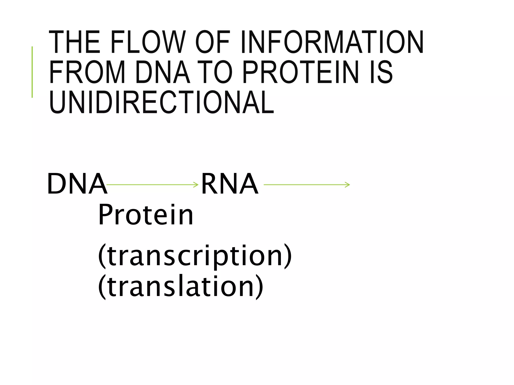 Dna and protein synthesis | PPTX
