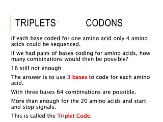 Dna and protein synthesis | PPTX