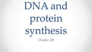 DNA and
protein
synthesis
Chapter 2B
 