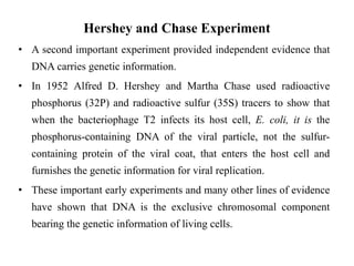 Hershey and Chase Experiment
• A second important experiment provided independent evidence that
DNA carries genetic information.
• In 1952 Alfred D. Hershey and Martha Chase used radioactive
phosphorus (32P) and radioactive sulfur (35S) tracers to show that
when the bacteriophage T2 infects its host cell, E. coli, it is the
phosphorus-containing DNA of the viral particle, not the sulfur-
containing protein of the viral coat, that enters the host cell and
furnishes the genetic information for viral replication.
• These important early experiments and many other lines of evidence
have shown that DNA is the exclusive chromosomal component
bearing the genetic information of living cells.
 