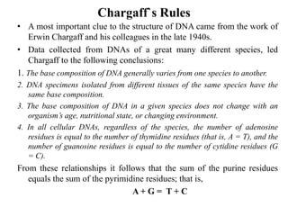 Chargaff`s Rules
• A most important clue to the structure of DNA came from the work of
Erwin Chargaff and his colleagues in the late 1940s.
• Data collected from DNAs of a great many different species, led
Chargaff to the following conclusions:
1. The base composition of DNA generally varies from one species to another.
2. DNA specimens isolated from different tissues of the same species have the
same base composition.
3. The base composition of DNA in a given species does not change with an
organism’s age, nutritional state, or changing environment.
4. In all cellular DNAs, regardless of the species, the number of adenosine
residues is equal to the number of thymidine residues (that is, A = T), and the
number of guanosine residues is equal to the number of cytidine residues (G
= C).
From these relationships it follows that the sum of the purine residues
equals the sum of the pyrimidine residues; that is,
A + G = T + C
 