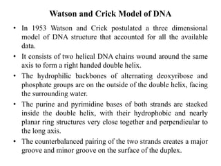 Watson and Crick Model of DNA
• In 1953 Watson and Crick postulated a three dimensional
model of DNA structure that accounted for all the available
data.
• It consists of two helical DNA chains wound around the same
axis to form a right handed double helix.
• The hydrophilic backbones of alternating deoxyribose and
phosphate groups are on the outside of the double helix, facing
the surrounding water.
• The purine and pyrimidine bases of both strands are stacked
inside the double helix, with their hydrophobic and nearly
planar ring structures very close together and perpendicular to
the long axis.
• The counterbalanced pairing of the two strands creates a major
groove and minor groove on the surface of the duplex.
 