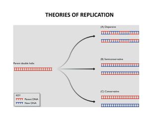 THEORIES OF REPLICATION
 