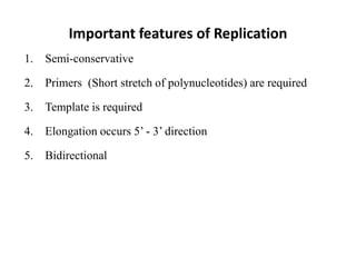 Important features of Replication
1. Semi-conservative
2. Primers (Short stretch of polynucleotides) are required
3. Template is required
4. Elongation occurs 5’ - 3’ direction
5. Bidirectional
 