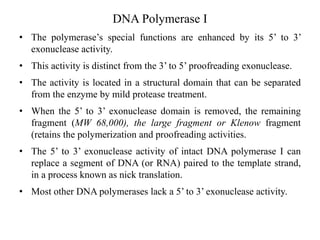 DNA Polymerase I
• The polymerase’s special functions are enhanced by its 5’ to 3’
exonuclease activity.
• This activity is distinct from the 3’ to 5’ proofreading exonuclease.
• The activity is located in a structural domain that can be separated
from the enzyme by mild protease treatment.
• When the 5’ to 3’ exonuclease domain is removed, the remaining
fragment (MW 68,000), the large fragment or Klenow fragment
(retains the polymerization and proofreading activities.
• The 5’ to 3’ exonuclease activity of intact DNA polymerase I can
replace a segment of DNA (or RNA) paired to the template strand,
in a process known as nick translation.
• Most other DNA polymerases lack a 5’ to 3’ exonuclease activity.
 
