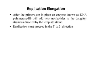 Replication Elongation
• After the primers are in place an enzyme known as DNA
polymerase-III will add new nucleotides to the daughter
strand as directed by the template strand
• Replication must proceed in the 5’ to 3’ direction
 
