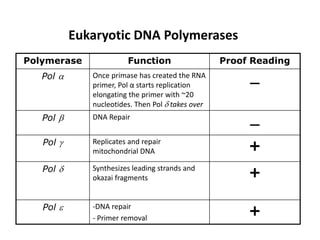 Eukaryotic DNA Polymerases
Polymerase Function Proof Reading
Pol  Once primase has created the RNA
primer, Pol α starts replication
elongating the primer with ~20
nucleotides. Then Pol  takes over

Pol  DNA Repair

Pol  Replicates and repair
mitochondrial DNA +
Pol  Synthesizes leading strands and
okazai fragments +
Pol  -DNA repair
- Primer removal
+
 