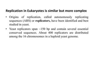 Replication in Eukaryotes is similar but more complex
• Origins of replication, called autonomously replicating
sequences (ARS) or replicators, have been identified and best
studied in yeast.
• Yeast replicators span ~150 bp and contain several essential
conserved sequences. About 400 replicators are distributed
among the 16 chromosomes in a haploid yeast genome.
 