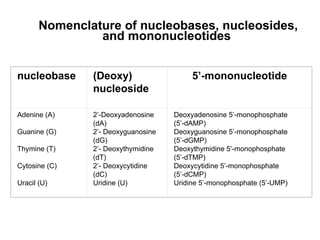 Nomenclature of nucleobases, nucleosides,
                and mononucleotides


nucleobase     (Deoxy)                   5’-mononucleotide
               nucleoside

Adenine (A)    2’-Deoxyadenosine    Deoxyadenosine 5’-monophosphate
               (dA)                 (5’-dAMP)
Guanine (G)    2’- Deoxyguanosine   Deoxyguanosine 5’-monophosphate
               (dG)                 (5’-dGMP)
Thymine (T)    2’- Deoxythymidine   Deoxythymidine 5’-monophosphate
               (dT)                 (5’-dTMP)
Cytosine (C)   2’- Deoxycytidine    Deoxycytidine 5’-monophosphate
               (dC)                 (5’-dCMP)
Uracil (U)     Uridine (U)          Uridine 5’-monophosphate (5’-UMP)
 