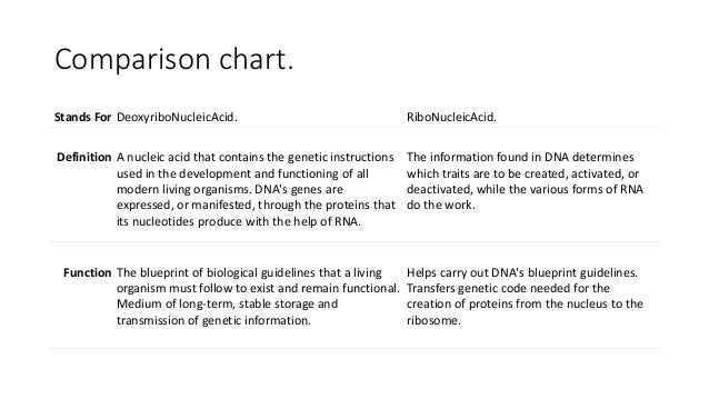 dna vs rna chart konmar mcpgroup co venn diagram dna and rna