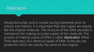 Replication
Deoxyribonucleic acid is copied during interphase prior to
mitosis and meiosis. It is important that new copies are exactly
like the original molecule. The structure of the DNA provides a
mechanism for making accurate copies of the molecule. The
process of making copies of DNA is called Replication. When
DNA replicates, two identical copies of DNA molecules are
produced, which are exactly the same as the original.
 
