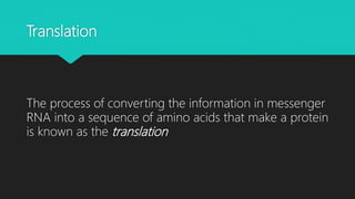 Translation
The process of converting the information in messenger
RNA into a sequence of amino acids that make a protein
is known as the translation
 