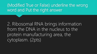 (Modified True or False) underline the wrong
word and Put the right answer
2. Ribosomal RNA brings information
from the DNA in the nucleus to the
protein manufacturing area, the
cytoplasm. (2pts)
 