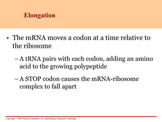 dna and rna.ppt