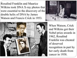 When Watson, Crick
and Wilkins got their
Nobel prize awards in
1962, Rosalind
Franklin was cheated
of deserved
recognition in part by
her early death from
cancer in 1958.
Rosalind Franklin and Maurice
Wilkins took DNA X-ray photos that
were essential to the discovery of the
double helix of DNA by James
Watson and Francis Crick in 1953.
 