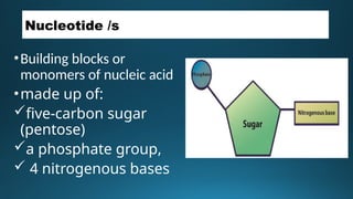 Differences between the structure of DNA and RNA | PPTX