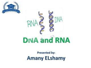 DNA and RNA
Presented by:
Amany ELshamy
 