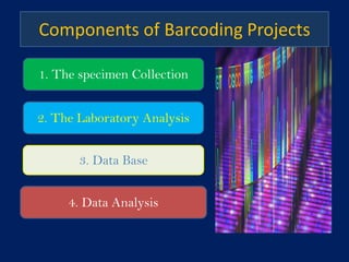 DNA and RAN based taxonomy in animals | PDF