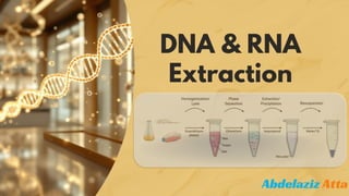 DNA and RNA Extraction foundational molecular biology techniques .pdf