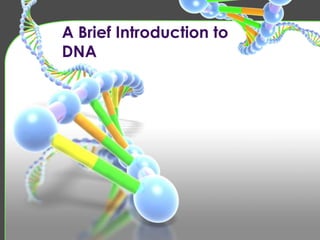 A Brief Introduction to
DNA

 
